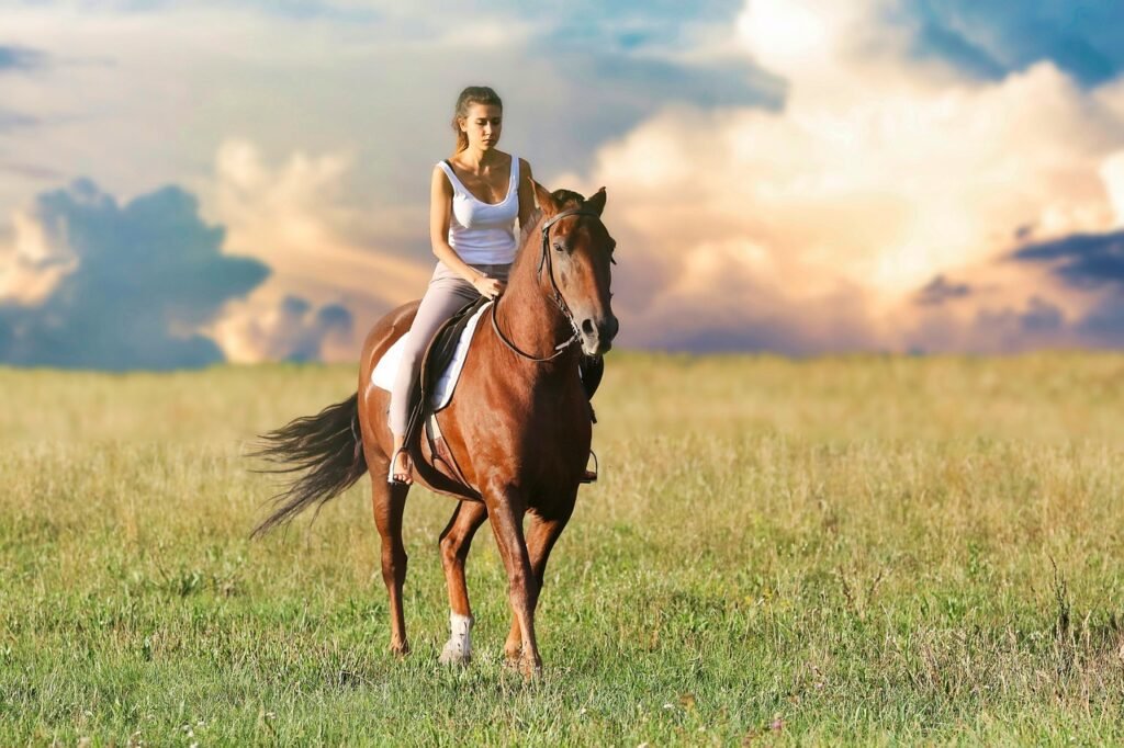 Equine Wellness and performance 